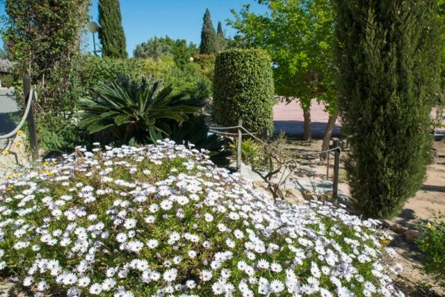 Residencia Marista Santa Maria Del Mar Hotel Guardamar del Segura Kültér fotó