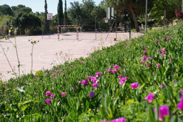 Residencia Marista Santa Maria Del Mar Hotel Guardamar del Segura Kültér fotó